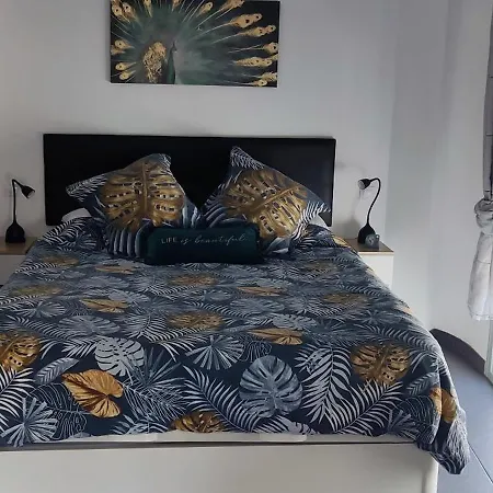 Mowani's Apartament